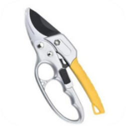 Yellow Garden 25 Scissor